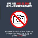대전봉명초교 이미지
