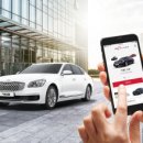 카 플렉스 이미지