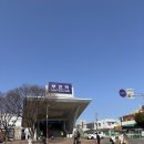 🚆부전역 → 강릉 ITX 청춘 왕복 1박 2일 여행 후기