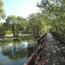 함평 밀재나비 휴게소와 일출 명소, 꽃과 태양이 빚어낸 아름다움 이미지