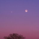 개밥바라기별 이미지