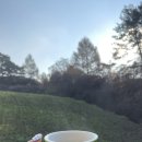 숲앤숲펜션 이미지