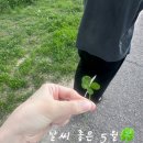 유림-21 | 날씨 좋은 5월의 대전 데이트 플래닛에그타르트 한빛탑 유림공원 딤섬관