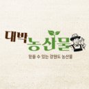 대박농산물 - 성남시 중원구 자혜로72번길 3-1 | 대박농산물