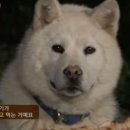 아 이미지