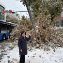 이미자 이미지