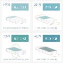 클라우드쇼룸 | 저상형패밀리침대 프레임과 돌레란매트리스 내돈내산 후기 그리고 패밀리컨셉 쇼룸 후기