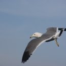 금영목장 이미지