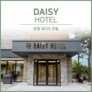 데이지호텔 이미지
