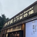 실질적으로는 이틀인 5월 충칭여행 part.2 : 점도덕, 바오스푸, 리리루오타오 요거트, 포토스팟, 와딩딩...