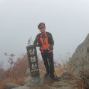 방주 농원 펜션 이미지