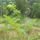 남애4리 종합복지회관 이미지