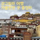 [리장 여행] 샹그릴라 가볼만한 곳｜송찬림사·나파해·두커종 고성 대불사 후기
