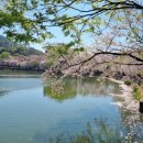 영산 연지못의 봄내음~~ 이미지