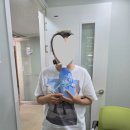 아모레퍼시픽 녹양
