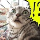 홈플러스 삼척점 이미지