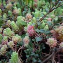 안이하우스 이미지