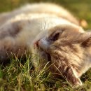 영어와 Craft 이미지