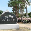 유구 수국정원에서 이미지