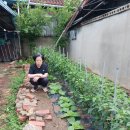 뉴 수성이용소
