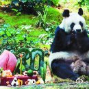 자자(佳佳) 이미지