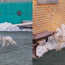 덕진체련공원 테니스장 이미지