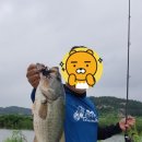 그린낚시 이미지