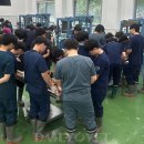 피그월드 동물병원 이미지