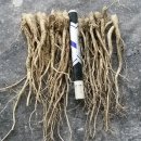 동명슈퍼 이미지