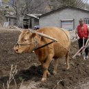 가평한옥마을 이미지