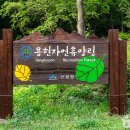 일락산 임도 화장실 | [충청남도 서산시] 국립 용현자연휴양림