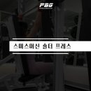 피티스미스 이미지