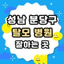 성남 분당구 탈모 전문 병원 두피 탈모관리 잘하는 곳 추천 List