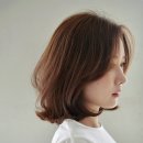 체스헤어 - 동구 | 체스헤어