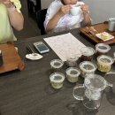 어플랜트숲 이미지