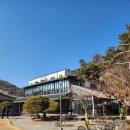 아기애견 | [시흥 베이커리카페] 시흥 애견동반카페 늘솜당 아기랑 방문후기 (내돈내산)