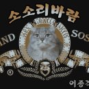 킥복싱 경기에서 나온 미친 KO킥.swf 이미지