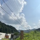 [경기도/양평] 양평 숙소 추천 연화도감 홍시 후기