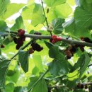 원택농장 이미지