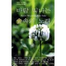 숲속바람 이미지