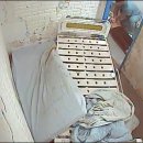 더블유(w.)진병원 한겨레
