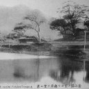 성남초등학교 옆 이미지