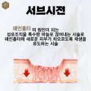 올의원