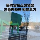 등억알프스야영장 | 울산 등억알프스야영장 겨울에도 따뜻했던 곤충카라반 후기
