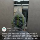 산내초등학교 | 산내초 근처 미용실 웨이브펌 여자 아이 펌