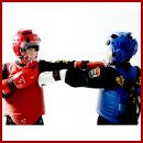 종합무예 영무관 이미지