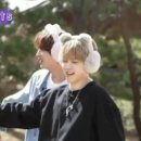 애리스 이미지