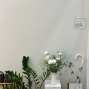 트윈캐슬 | 길음역 필라테스 추천! JW필라테스 롯데캐슬트윈골드 필라테스 실제 이용 후기