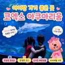 루피환경 | 아이랑 가기 좋은 곳 추천! 코엑스 아쿠아리움 잔망루피 이벤트 후기