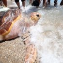 거북축산 이미지